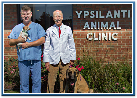 Ypsilanti Animal Clinic | Veterinarians Near Ann Arbor, Belleville