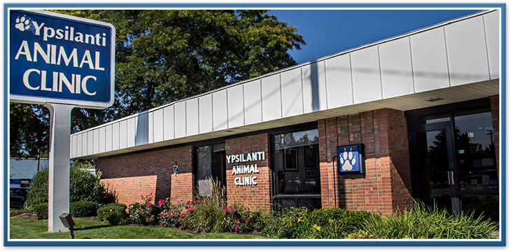 ypsilanti animal clinic near belleville, canton, ann arbor
