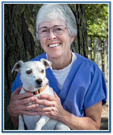 Ypsilanti Veterinary Staff | Ypsilanti Animal Clinic Serving Belleville